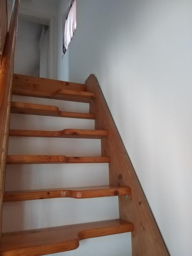 Nefelejcs Nyaraló-Vendégház Dunasziget Kültér fotó